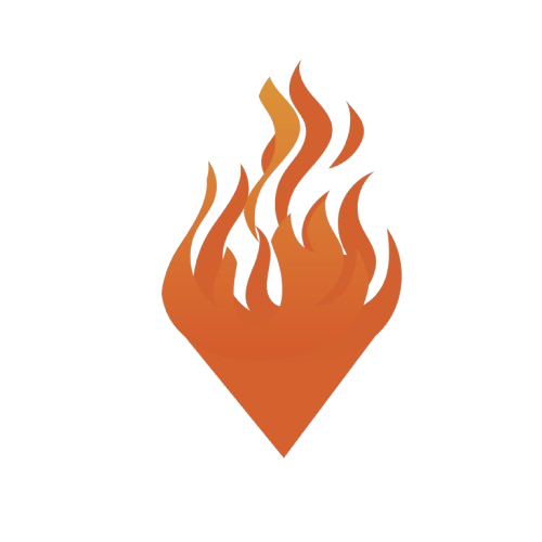 SANZ logo